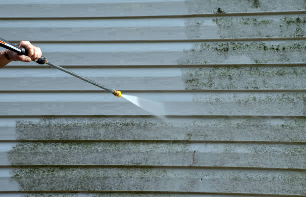 Best Residential Pressure Washing Services  in Fisher, IL