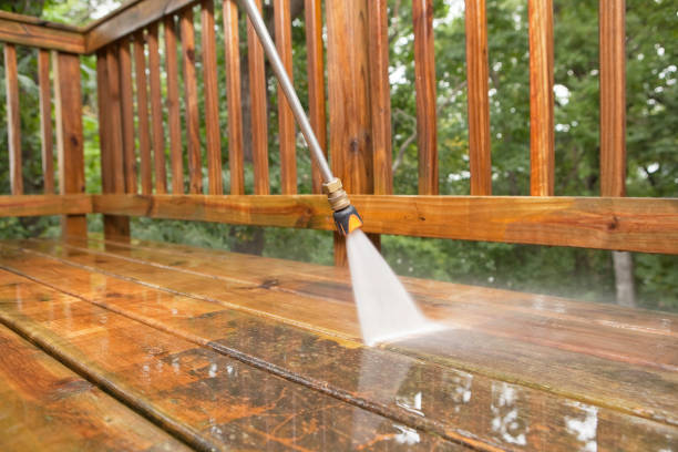 Best Affordable Pressure Washing  in Fisher, IL